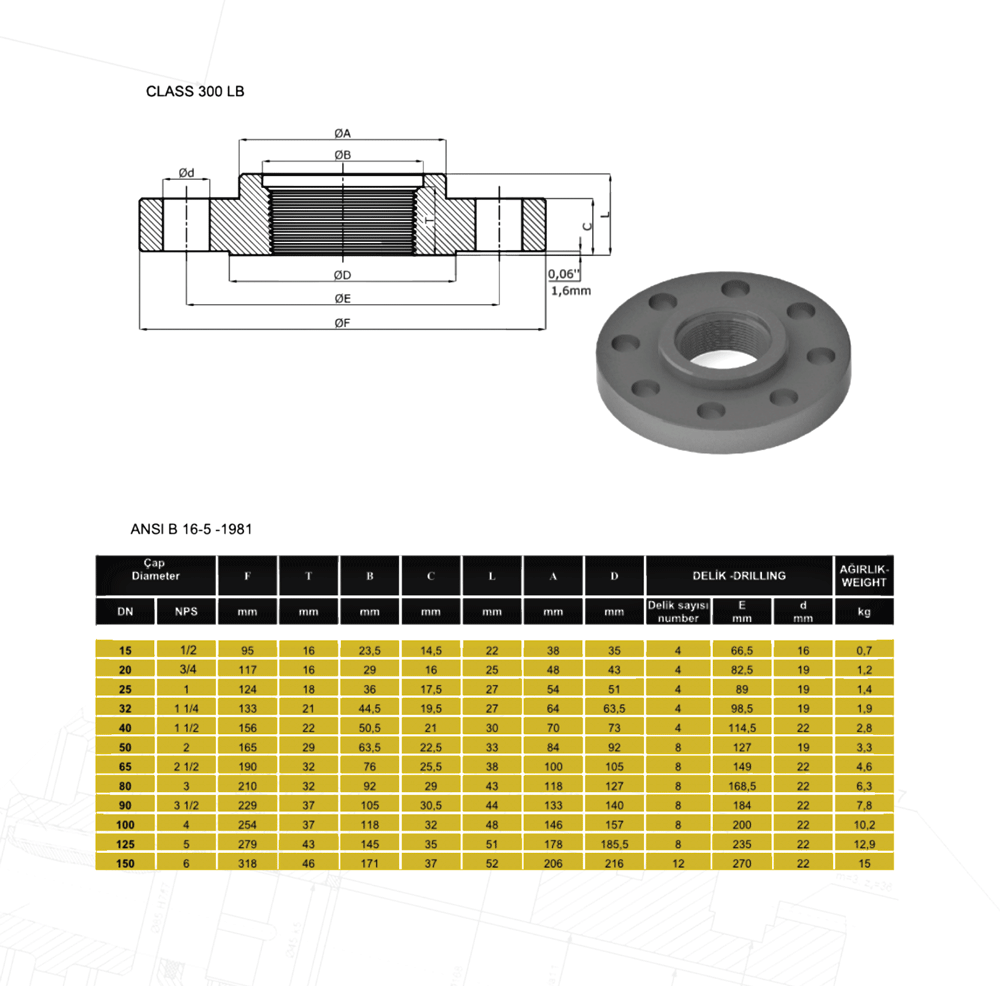 Dişli-Flanş-300LB