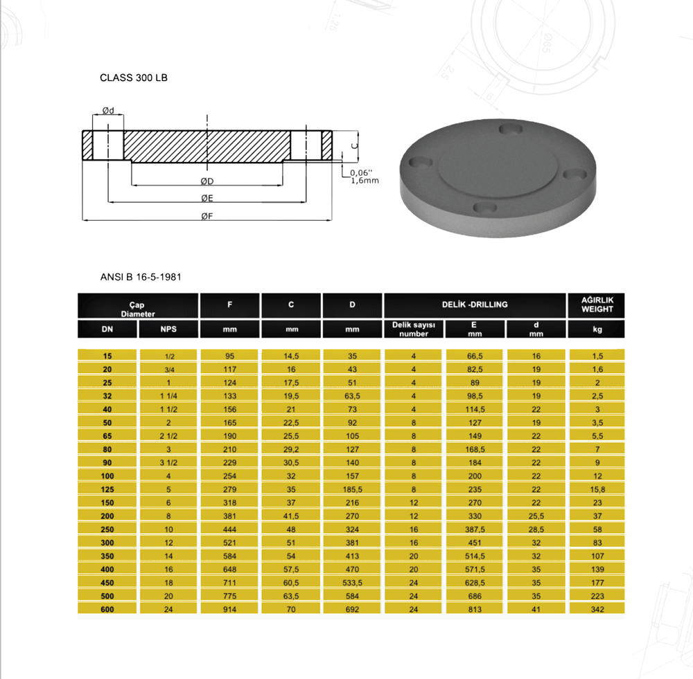 Blind-Flange-300LB