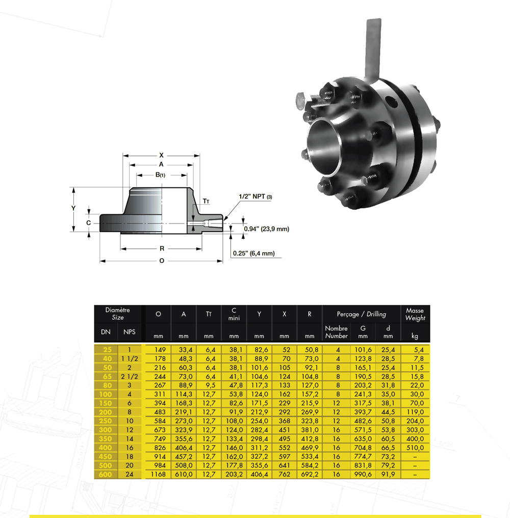 Orıfıce-Flanş-1500LB