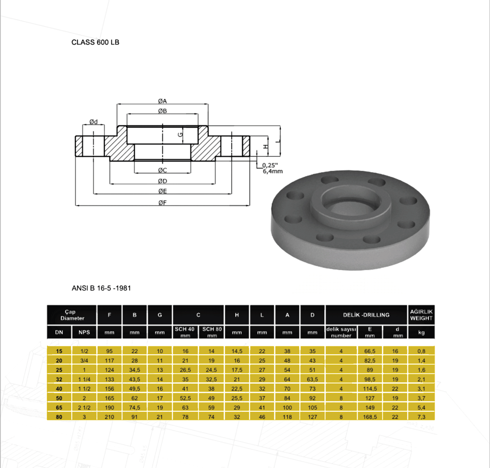 Soket-Flanş-600LB